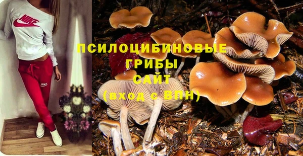 шишки Богданович