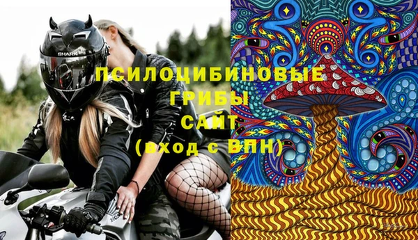 шишки Богданович